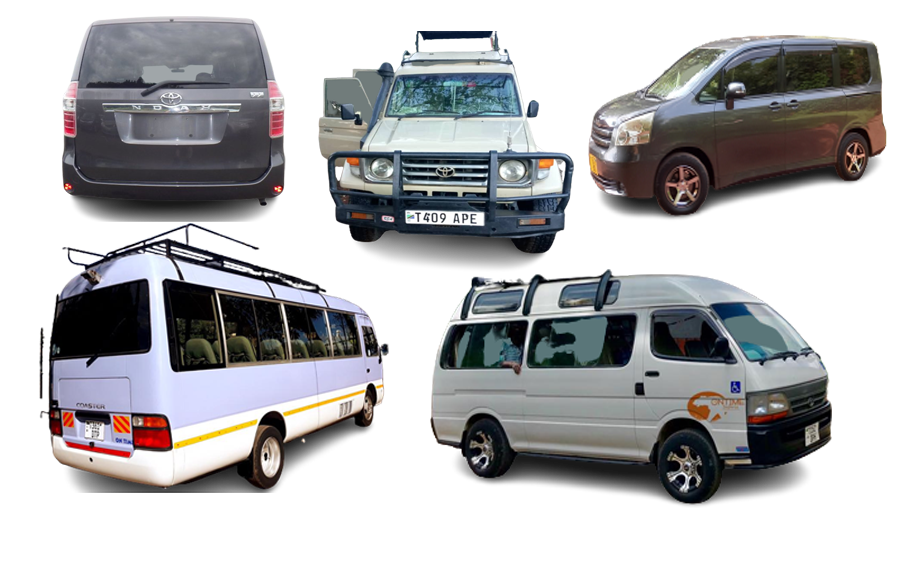 Kilimanjaro Transfer Rates